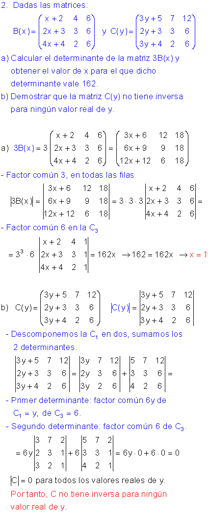 Ejercicios resueltos determinantes