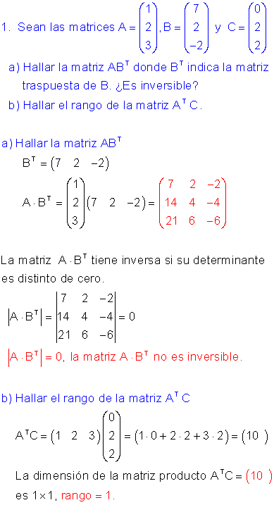 Ejercicios resueltos rango matriz