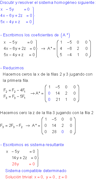 Sistemas homogéneos