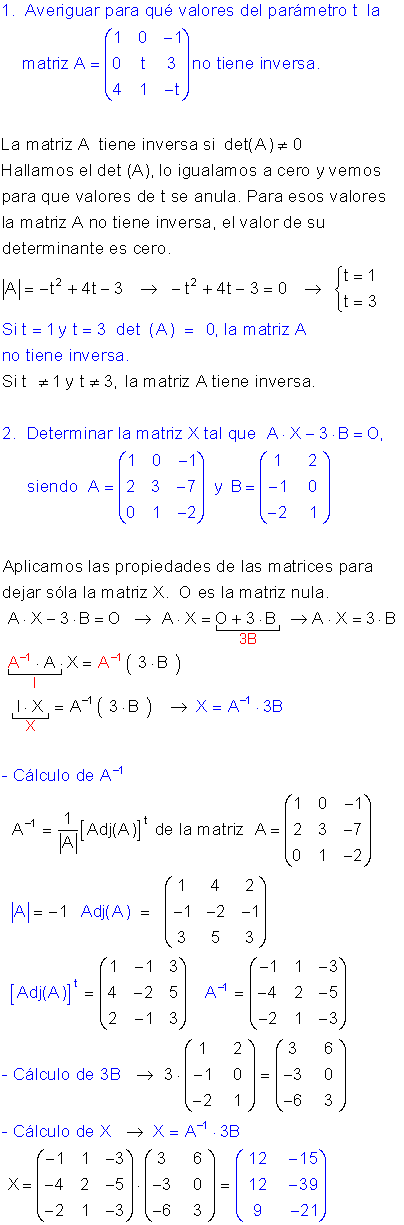 Matriz inversa determinantes.